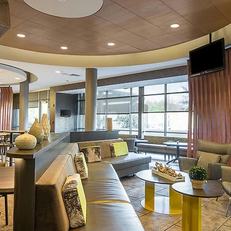 Springhill Suites Tampa North/Tampa Palms Exteriér fotografie