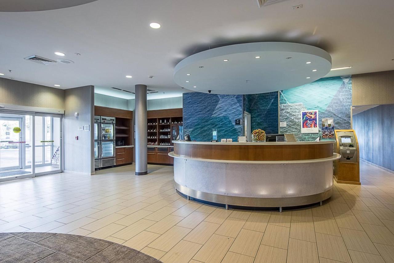 Springhill Suites Tampa North/Tampa Palms Exteriér fotografie