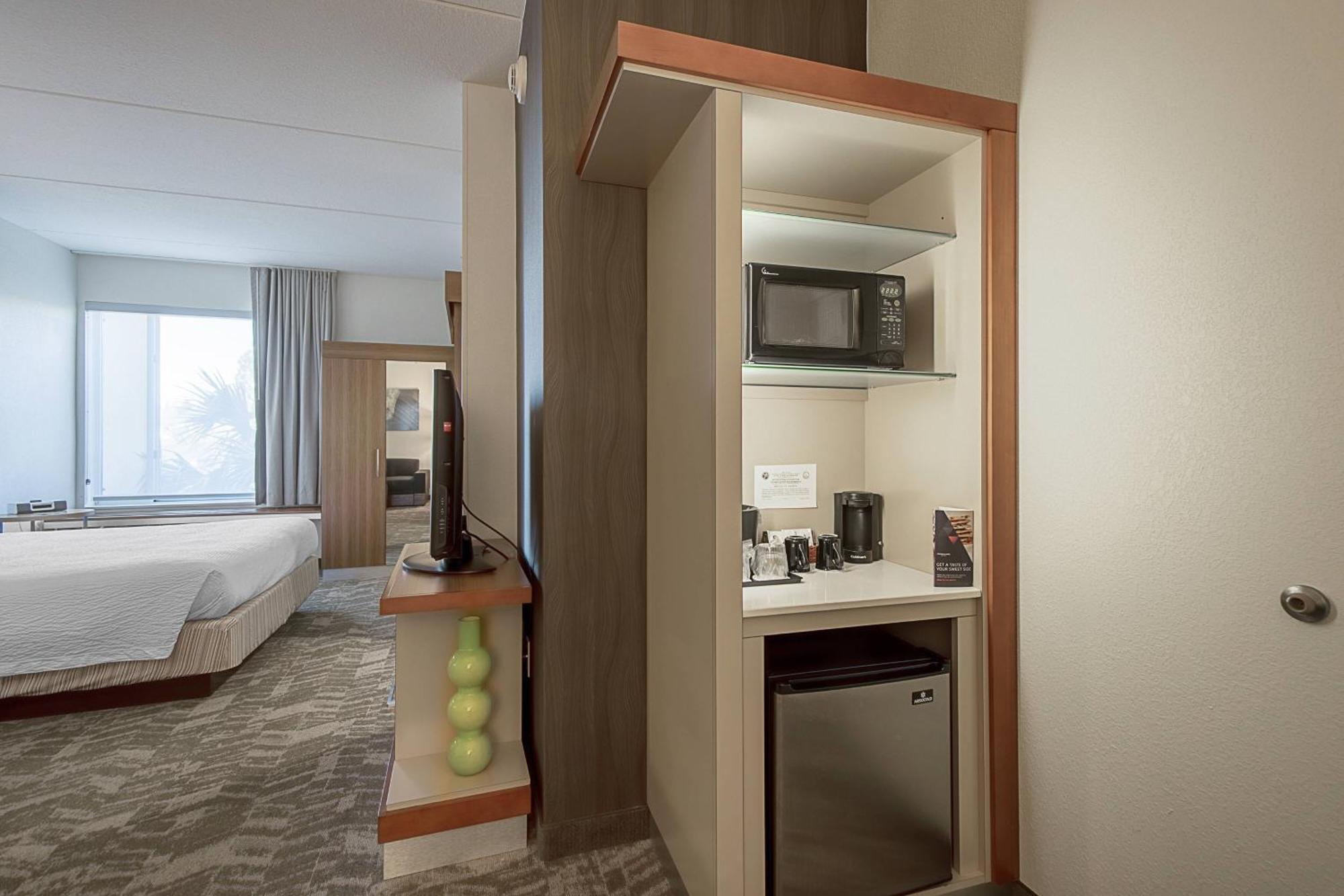 Springhill Suites Tampa North/Tampa Palms Exteriér fotografie