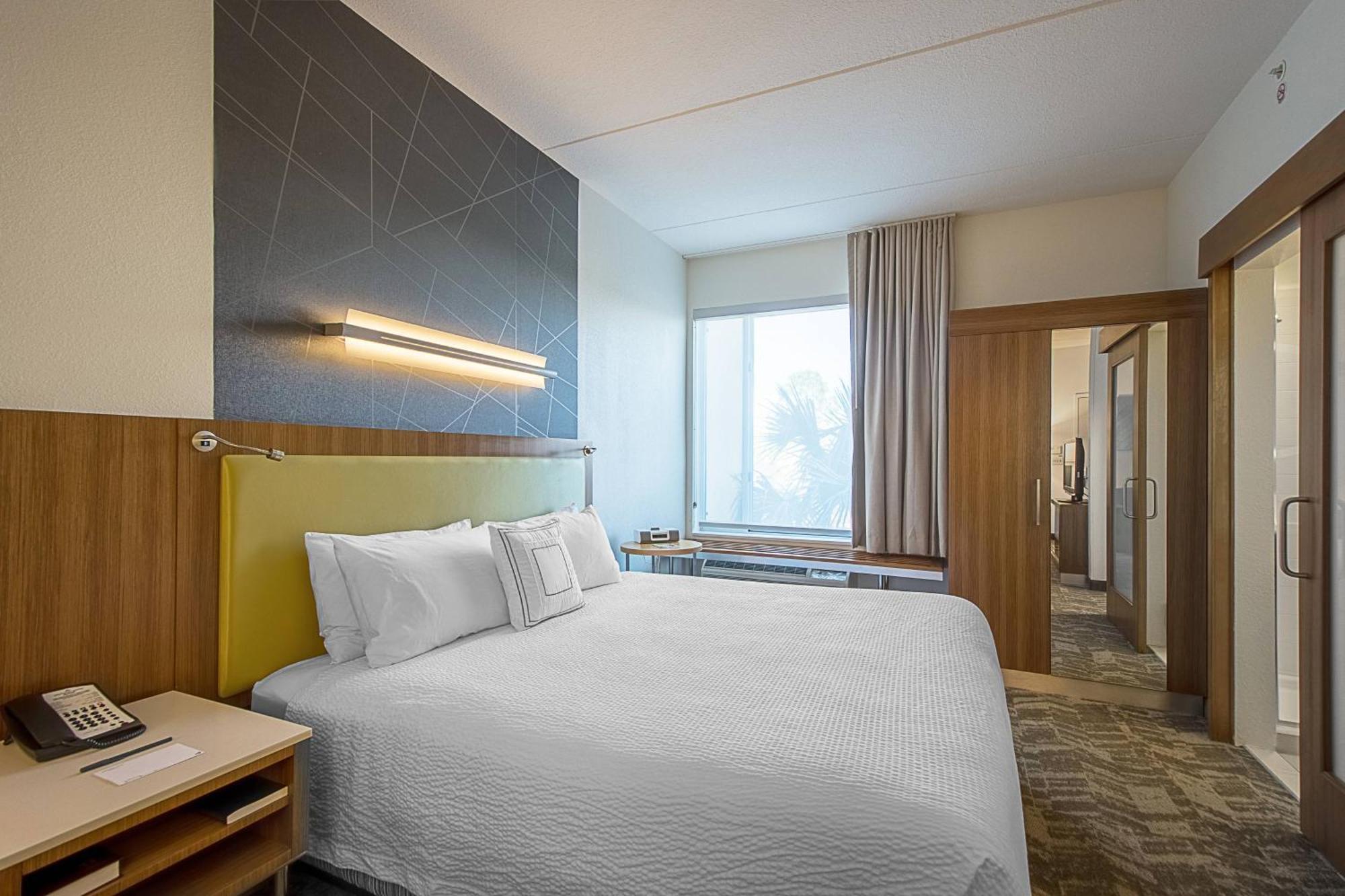 Springhill Suites Tampa North/Tampa Palms Exteriér fotografie