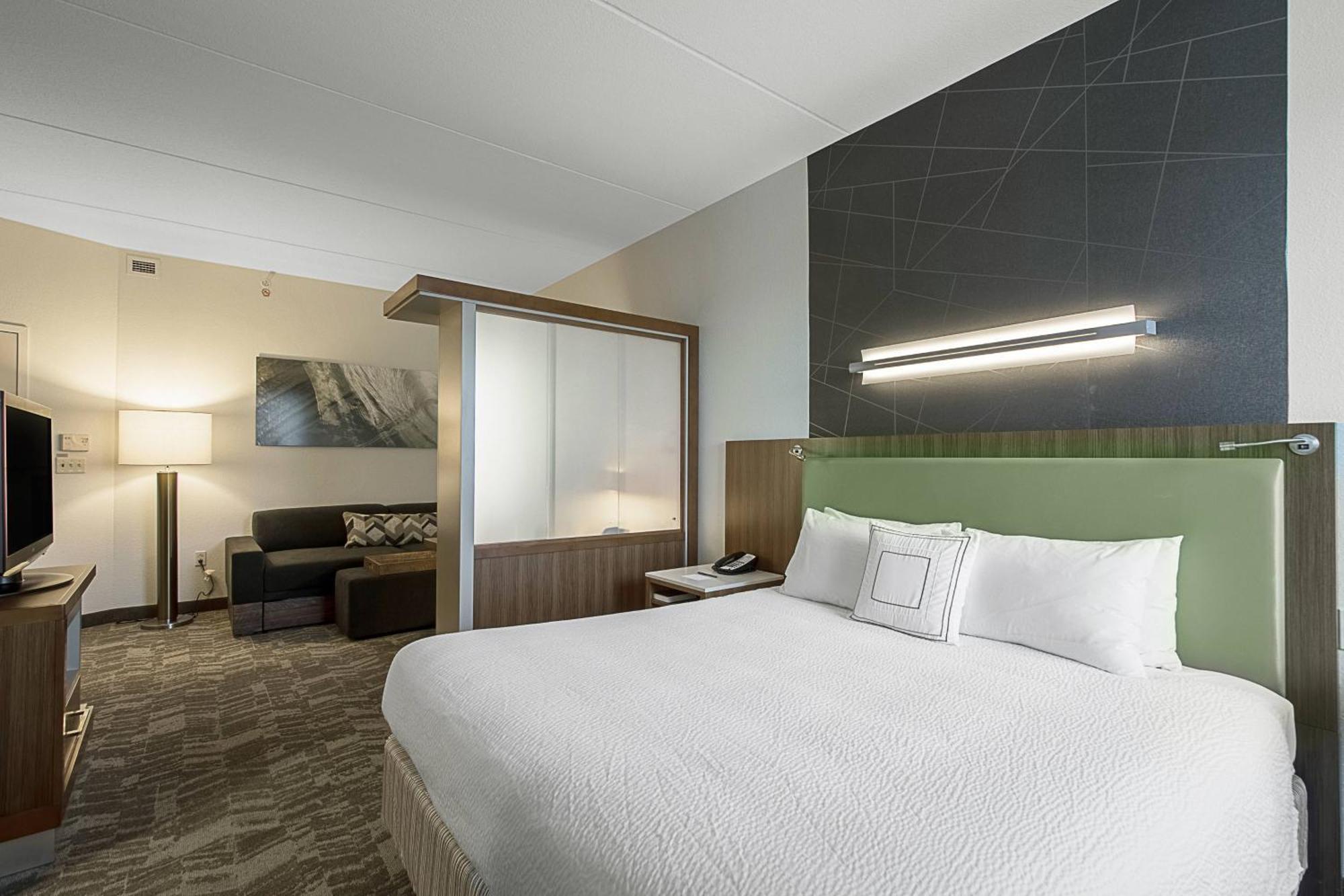 Springhill Suites Tampa North/Tampa Palms Exteriér fotografie