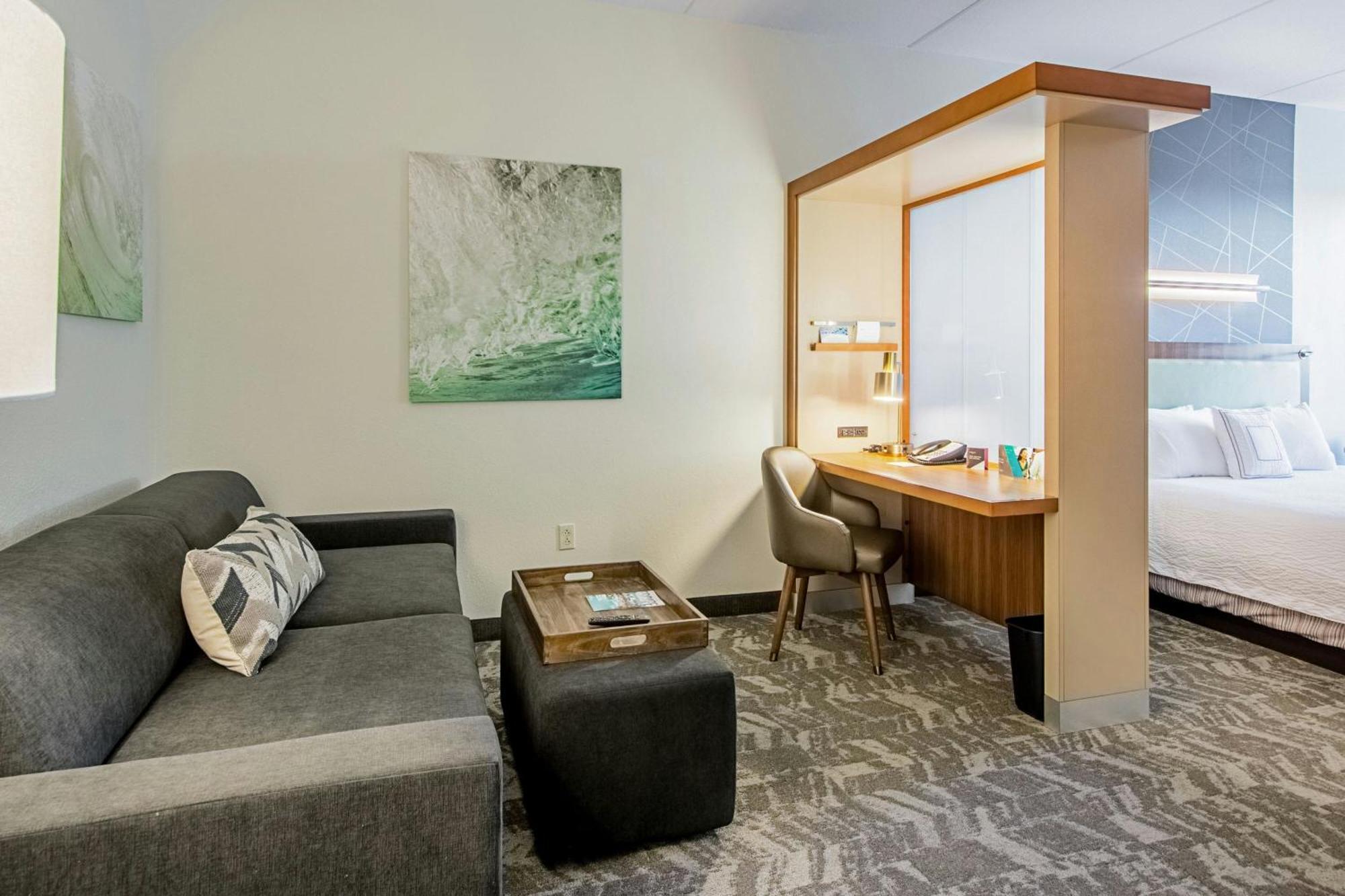 Springhill Suites Tampa North/Tampa Palms Exteriér fotografie