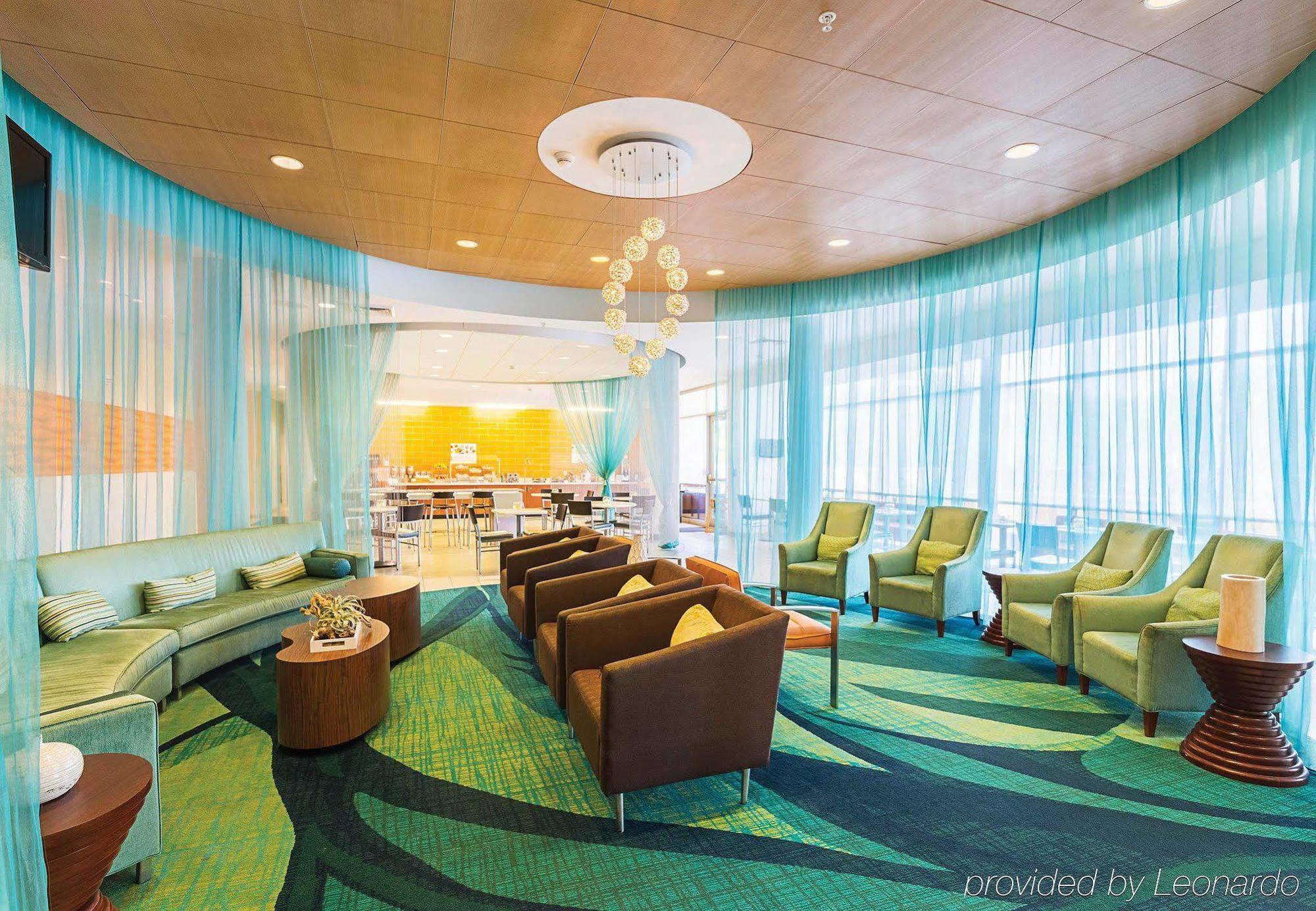 Springhill Suites Tampa North/Tampa Palms Exteriér fotografie